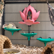 Lily flower bed & perches