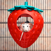 Strawberry rat hide