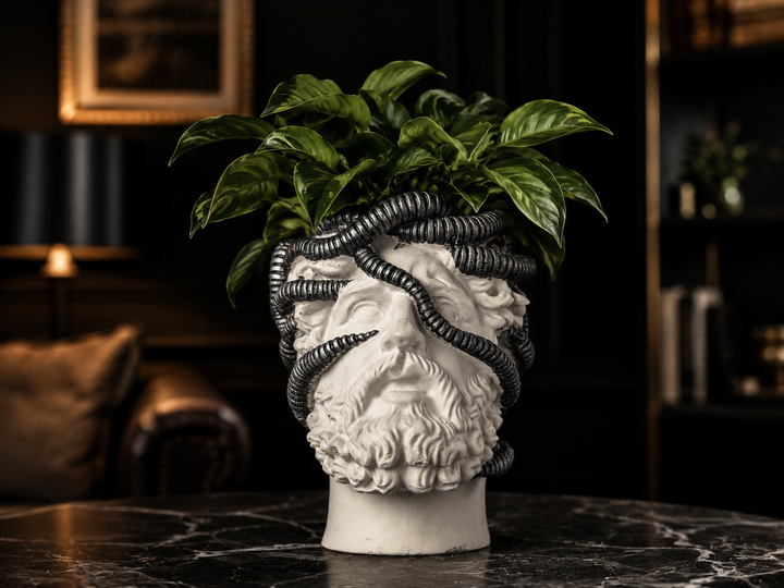 Front lifestyle view of Aristotle.exe biotech classical head planter