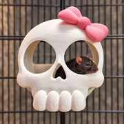 Cute-goth skull rat hide