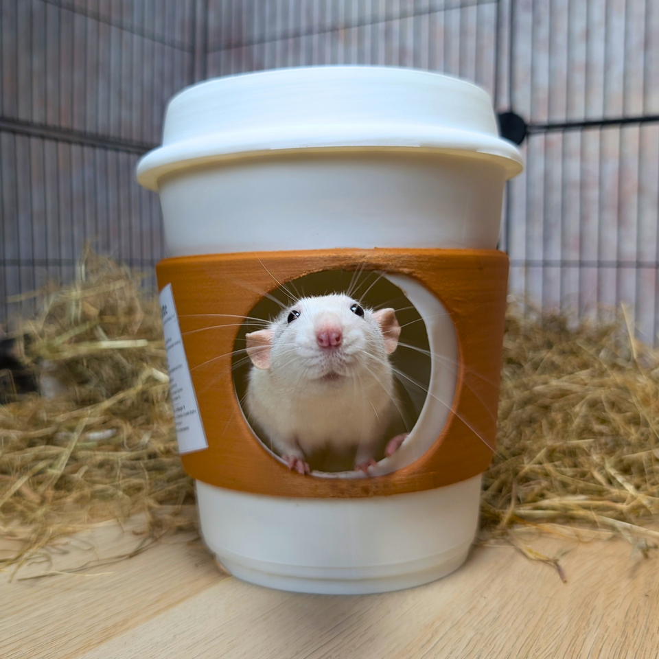 Rat Hide Coffee Cup size reference with hand for scale