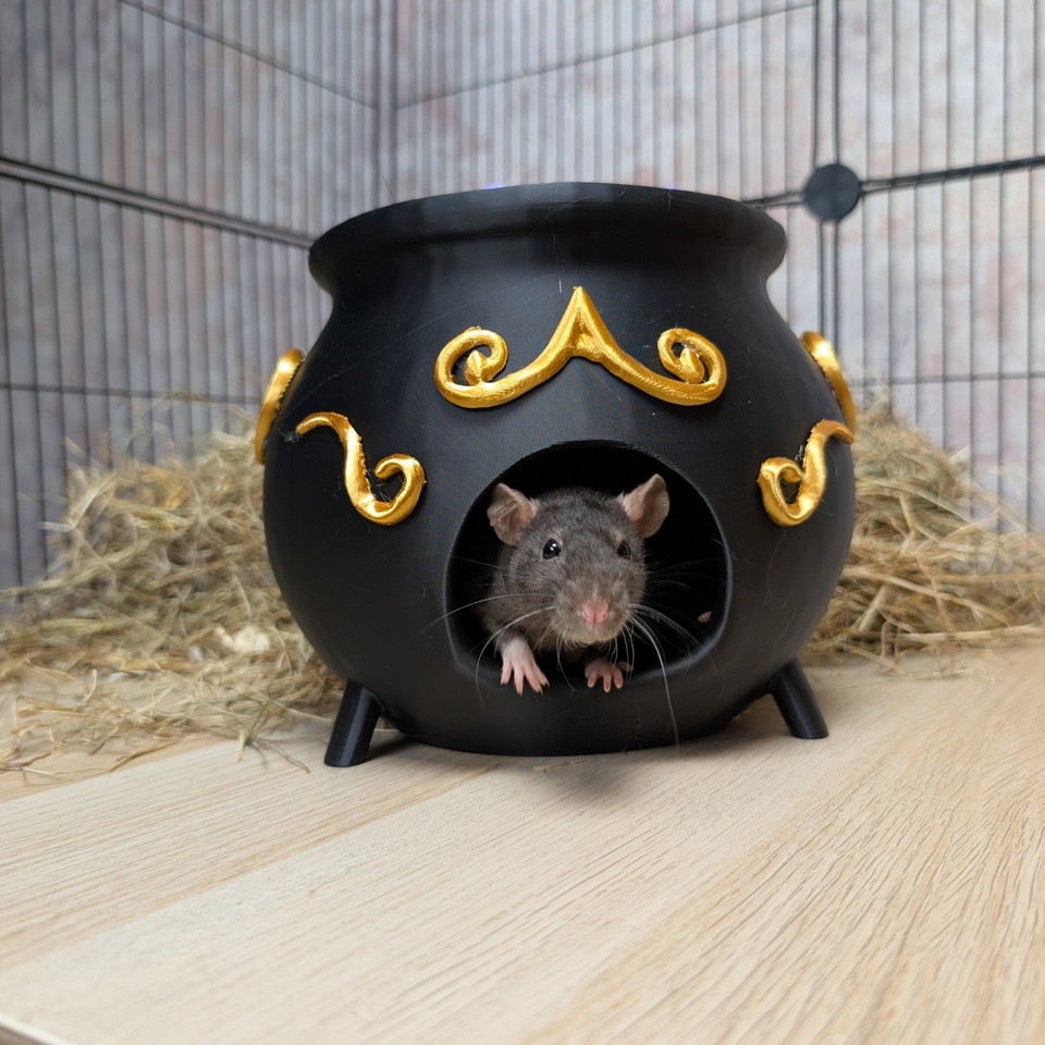 3-Piece Witch Enrichment Set front view showing entrance