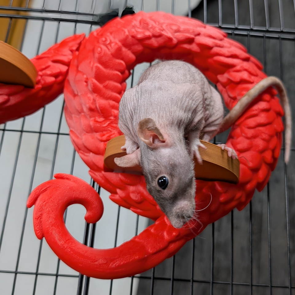 Dragon Rat Shelf Set product packaging and presentation