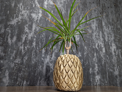 Golden Pineapple Planter