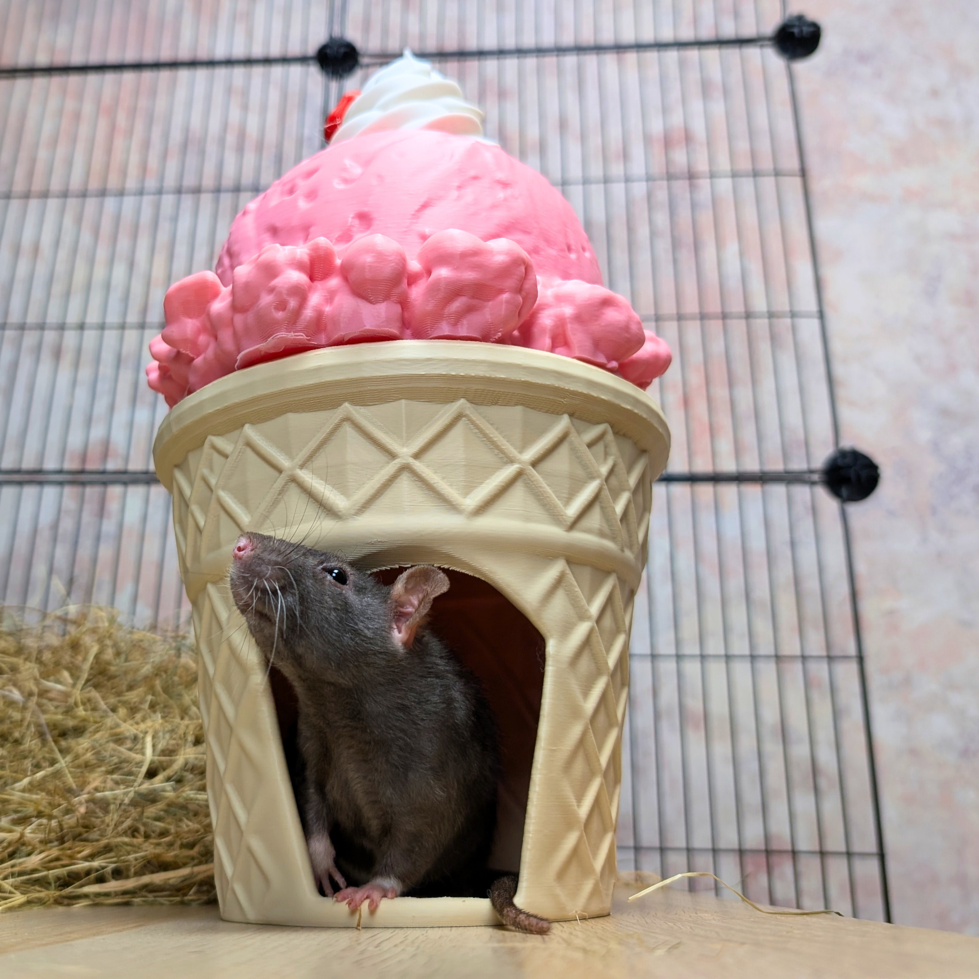 Strawberry Ice Cream Cone Cave for Cage