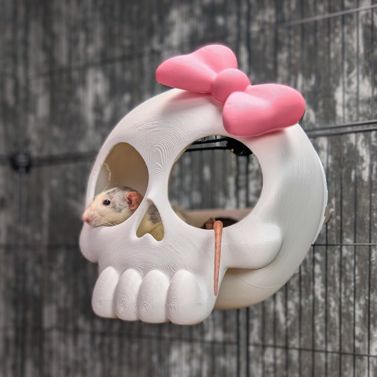 Kawaii Goth Skull Rat Hide styled in home setting