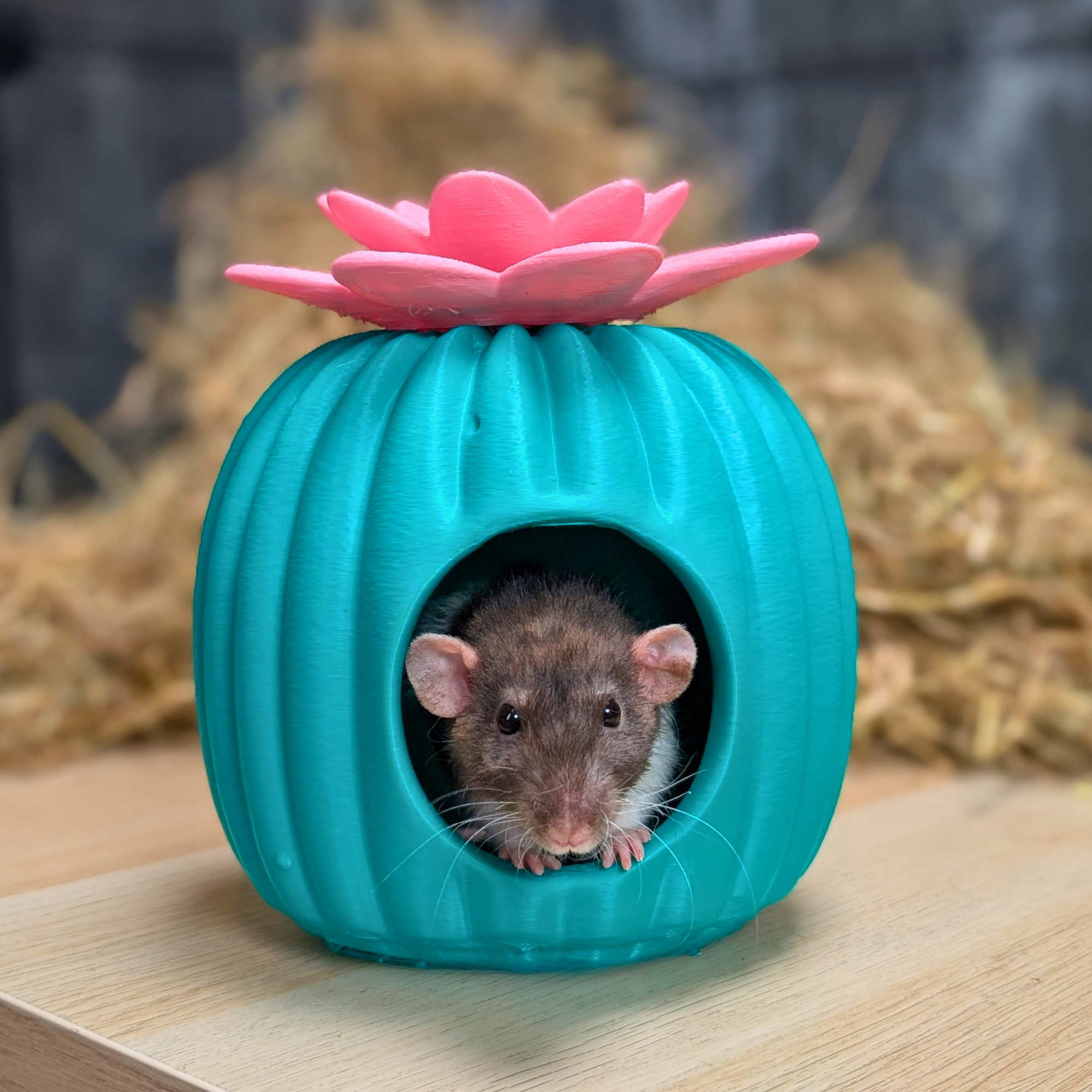 Cactus Rat House Pet Bed Small Animal House Ripleys Nest Cactus Rat House Pet Bed Small Animal House Ripleys Nest