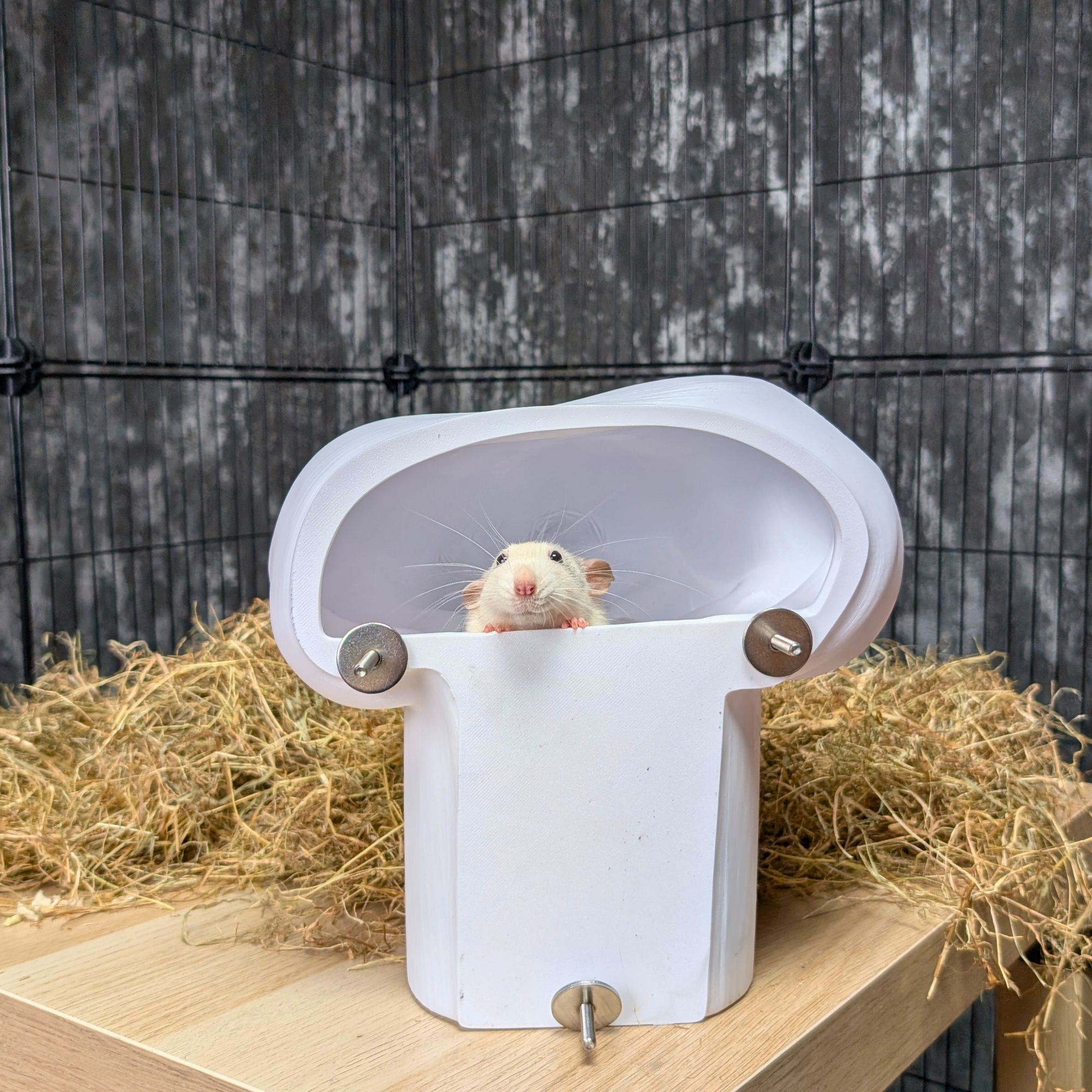 Chef Hat Rat Hide & Bed