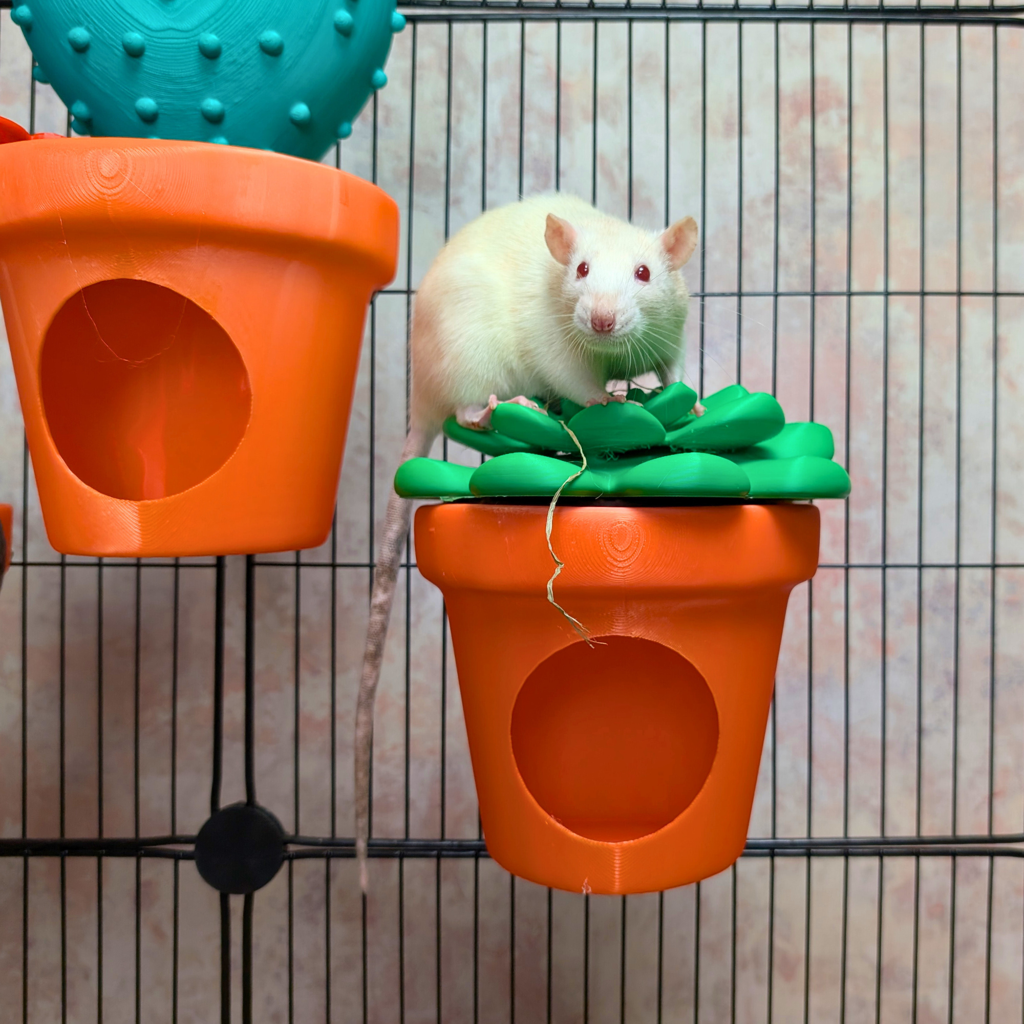 Rat Hide Cactus Pot | 3D Printed Small Animal House
