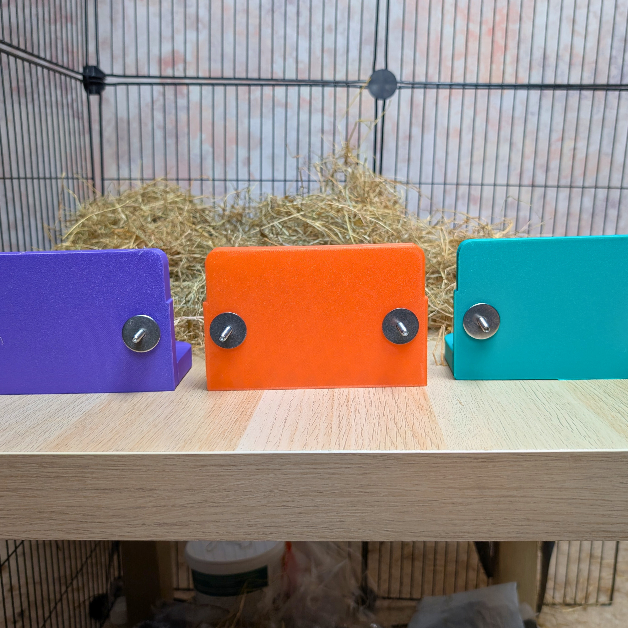 Cute Rat Toy & Custom Shelf