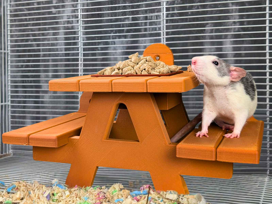 Rat Picnic Bench Food Bowl - handcrafted feeding accessory | Ripleys Nest