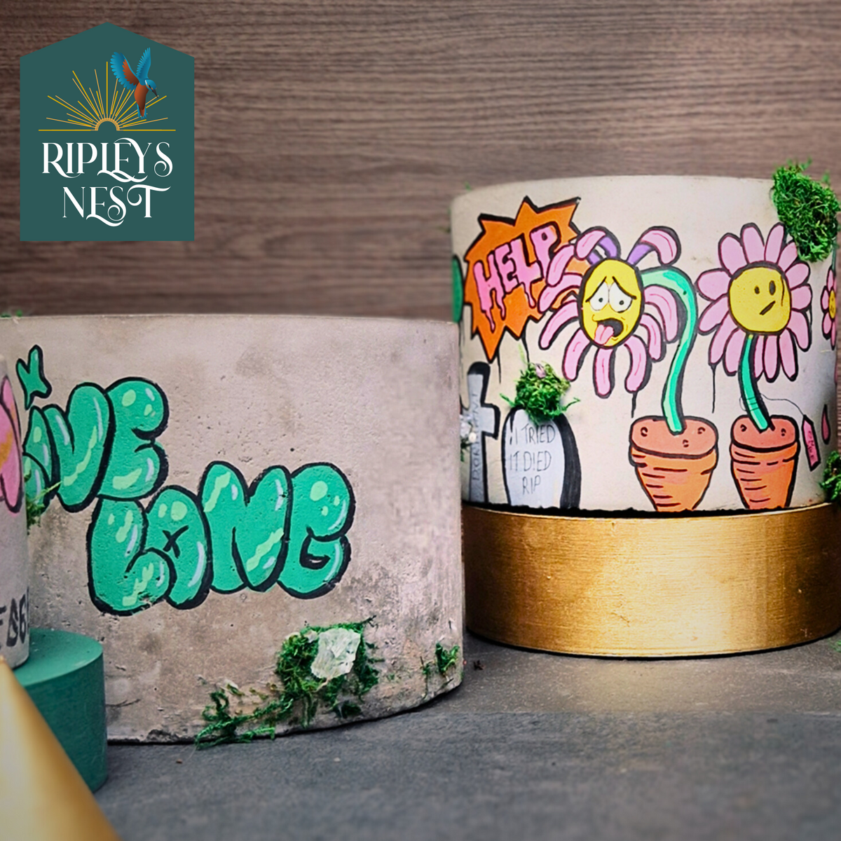 Urban Canvas Planter styled in home setting