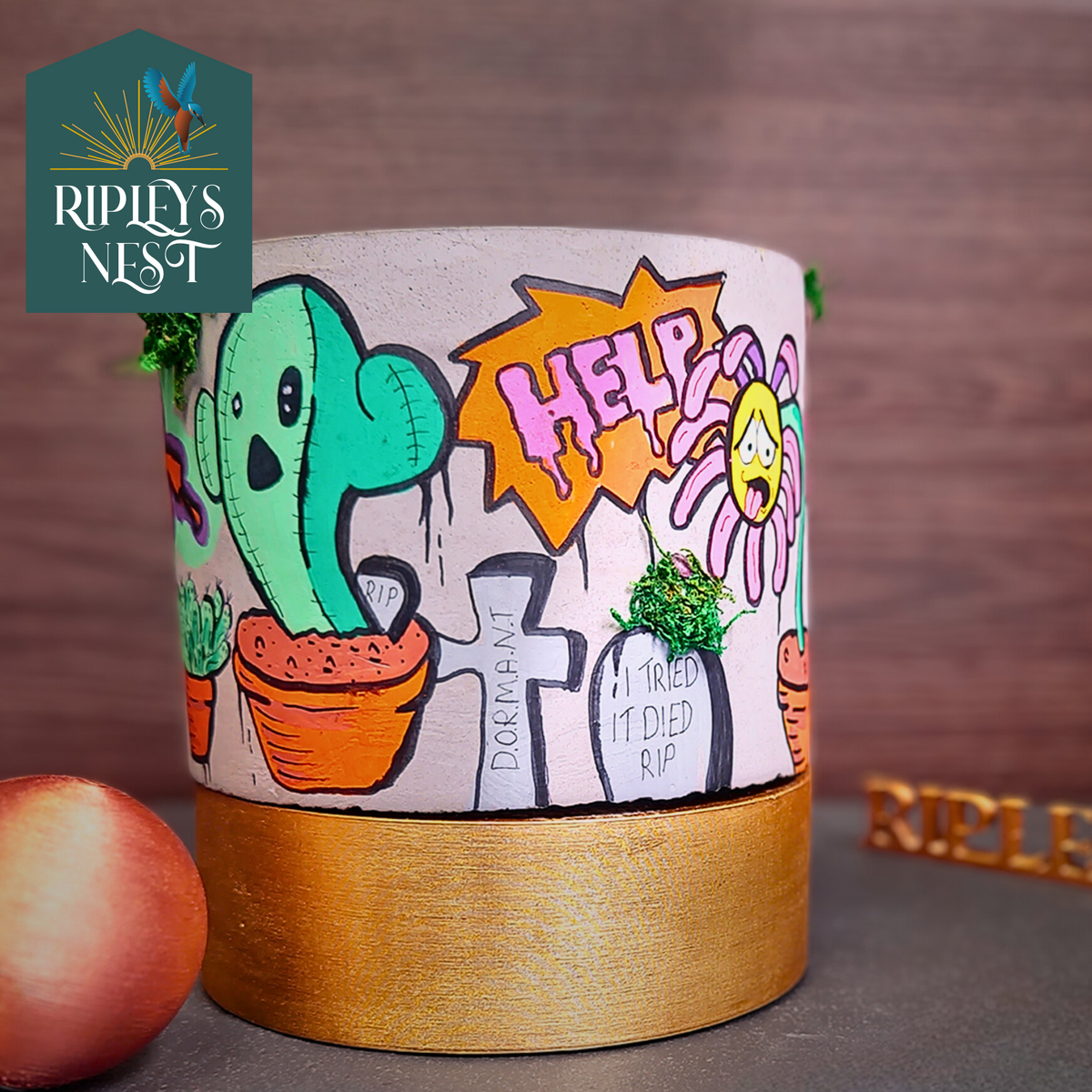 Urban Canvas Planter product packaging and presentation