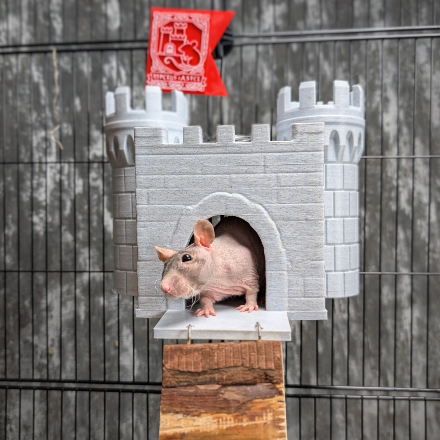 Castle Rat Hide