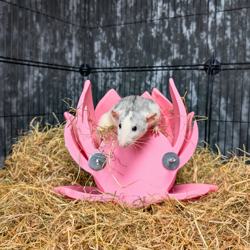 Cute Lily Rat Bed & Hide Set size reference with hand for scale