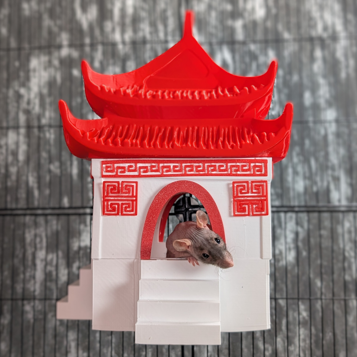 Chinese Temple Rat Hide styled in home setting