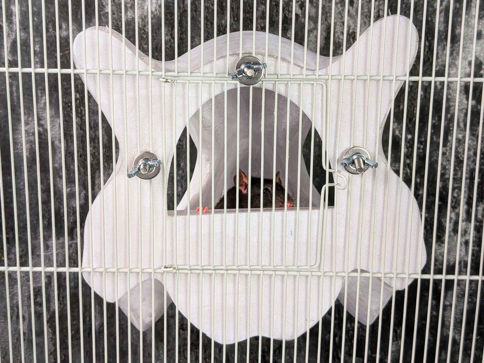 Gothic Skull Rat Hideout & Hanging Nest