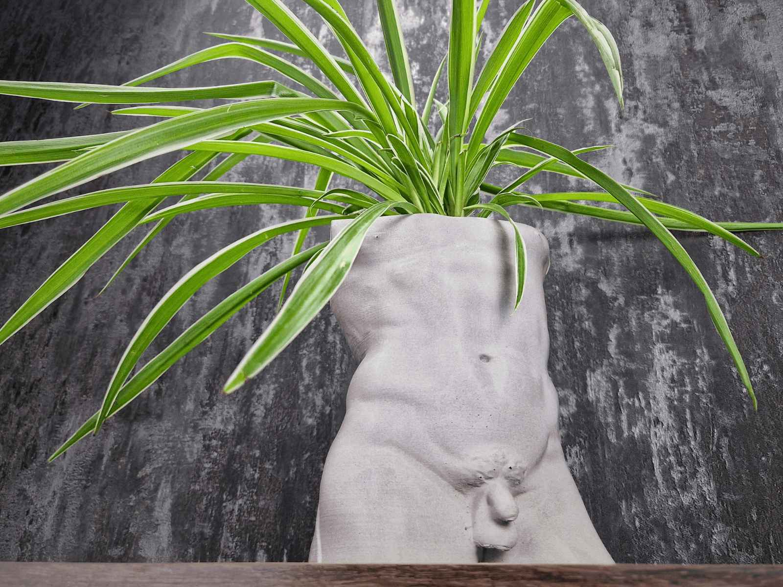 David & Venus Statue Pots