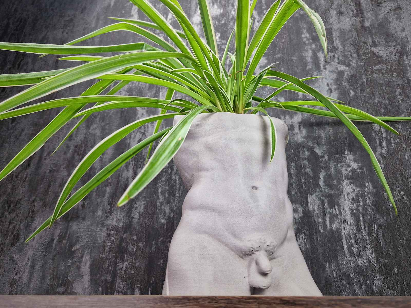 Greek God Male Planter