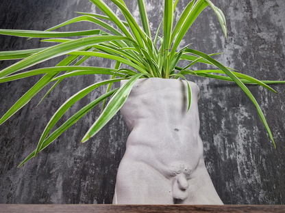 Greek God Male Planter