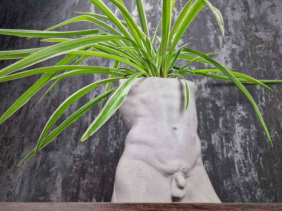 Greek God Male Planter close-up texture detail