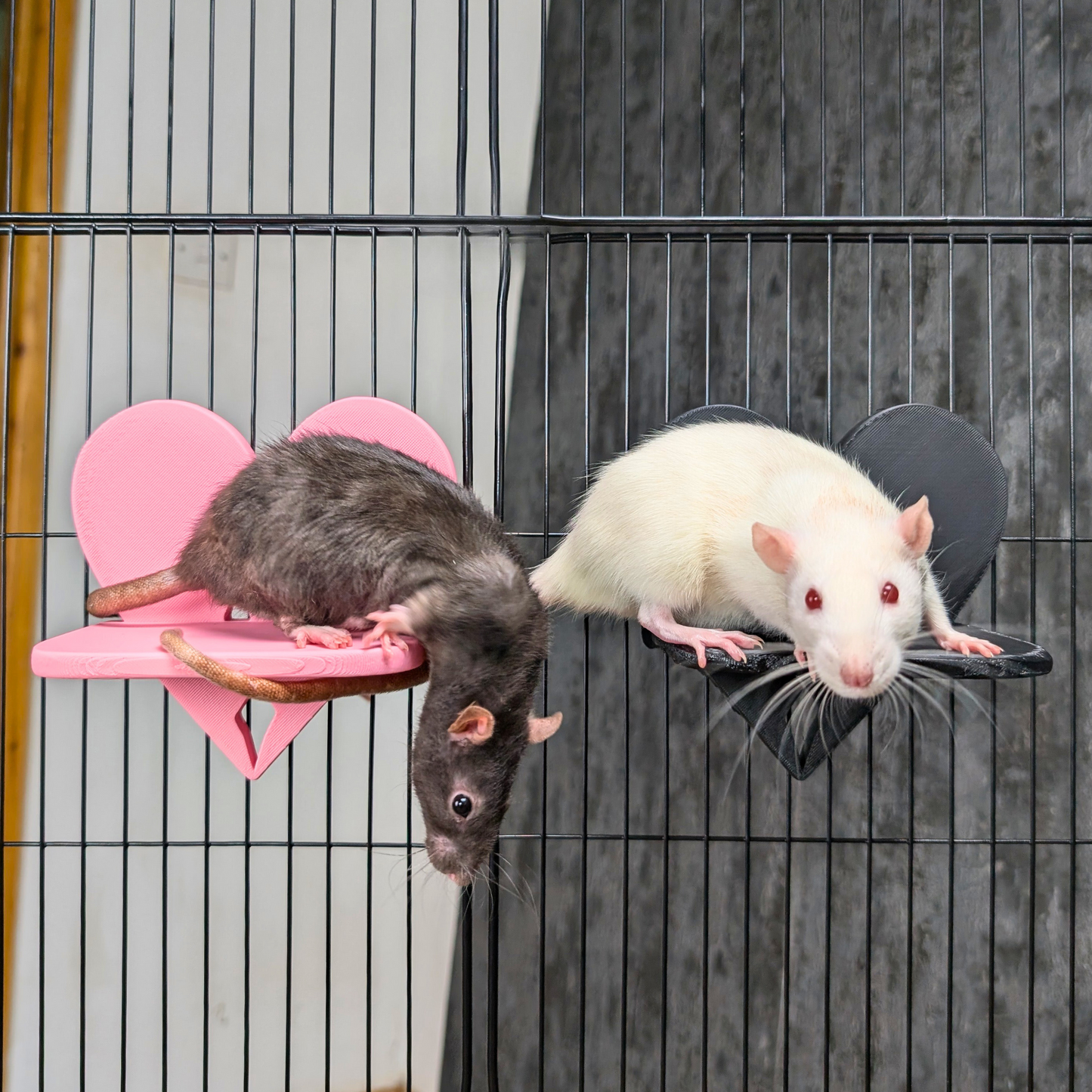 Broken Heart Rat Cage Shelf Set
