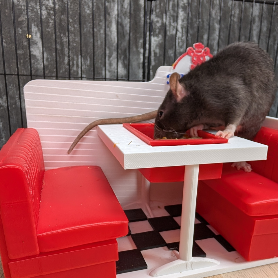 Rat Diner front view showing food area