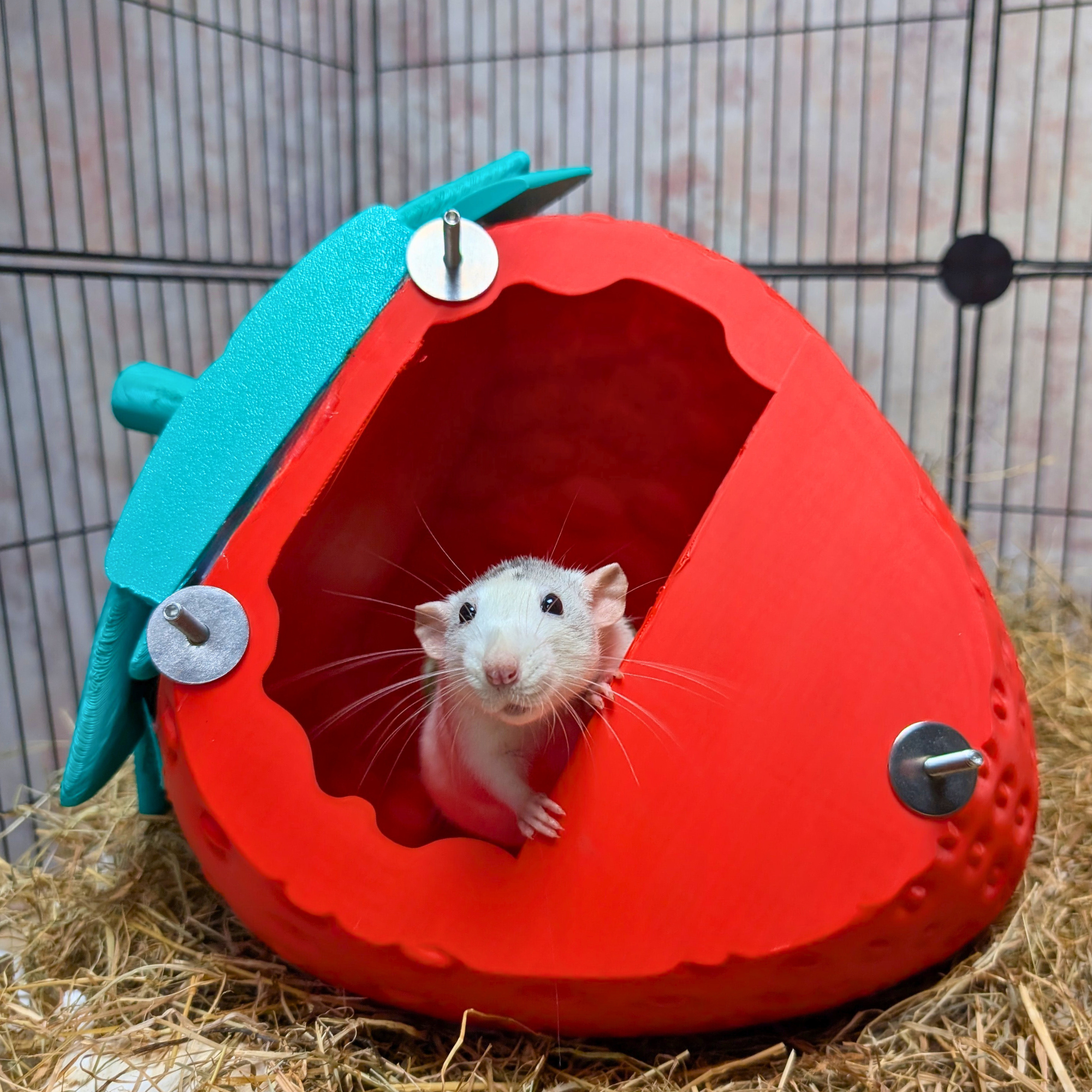 Strawberry Pet Bed & Cute Cage Accessory