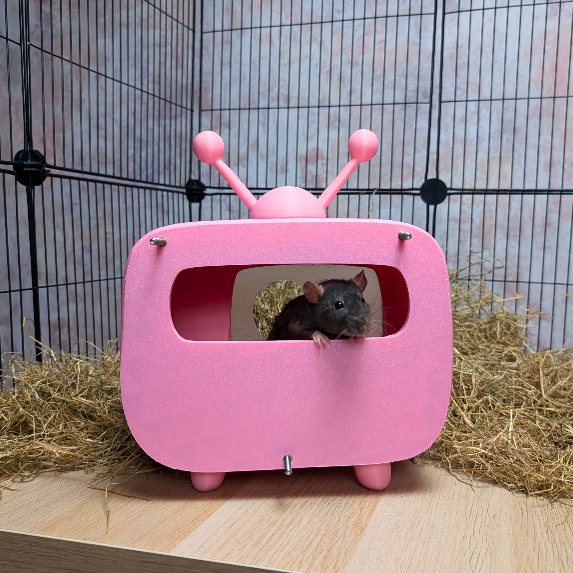 Rat Hide Retro TV