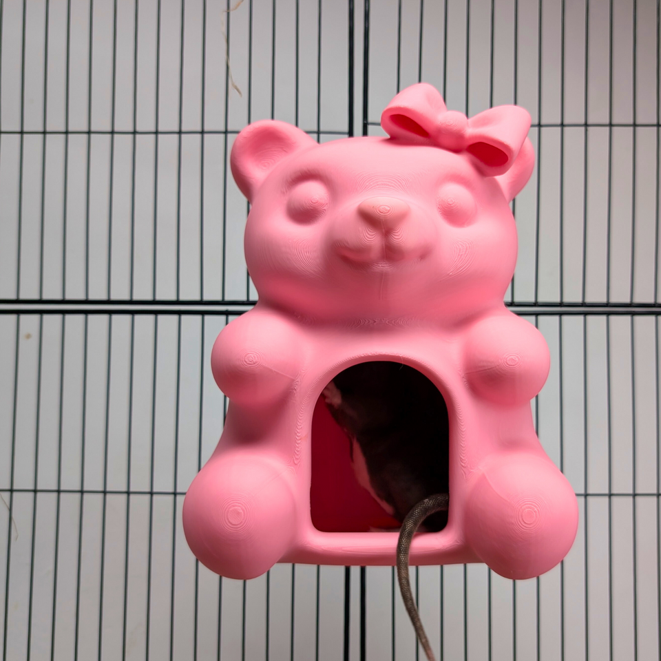 Cute Sweet Bear Rat Hide & Bed top-down view showing interior