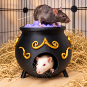 Witch cauldron rat hide
