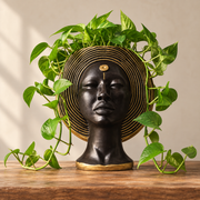 Gold-halo head planter
