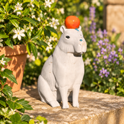 Capybara with orange