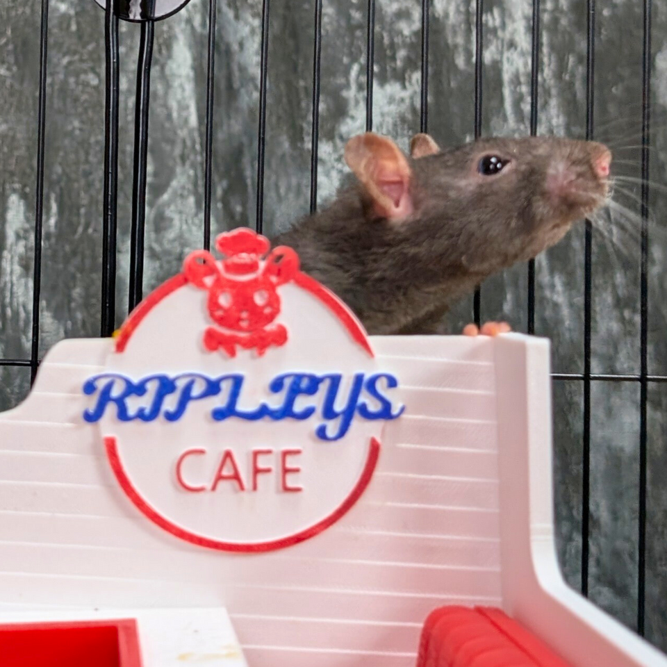Rat Diner side view showing structure