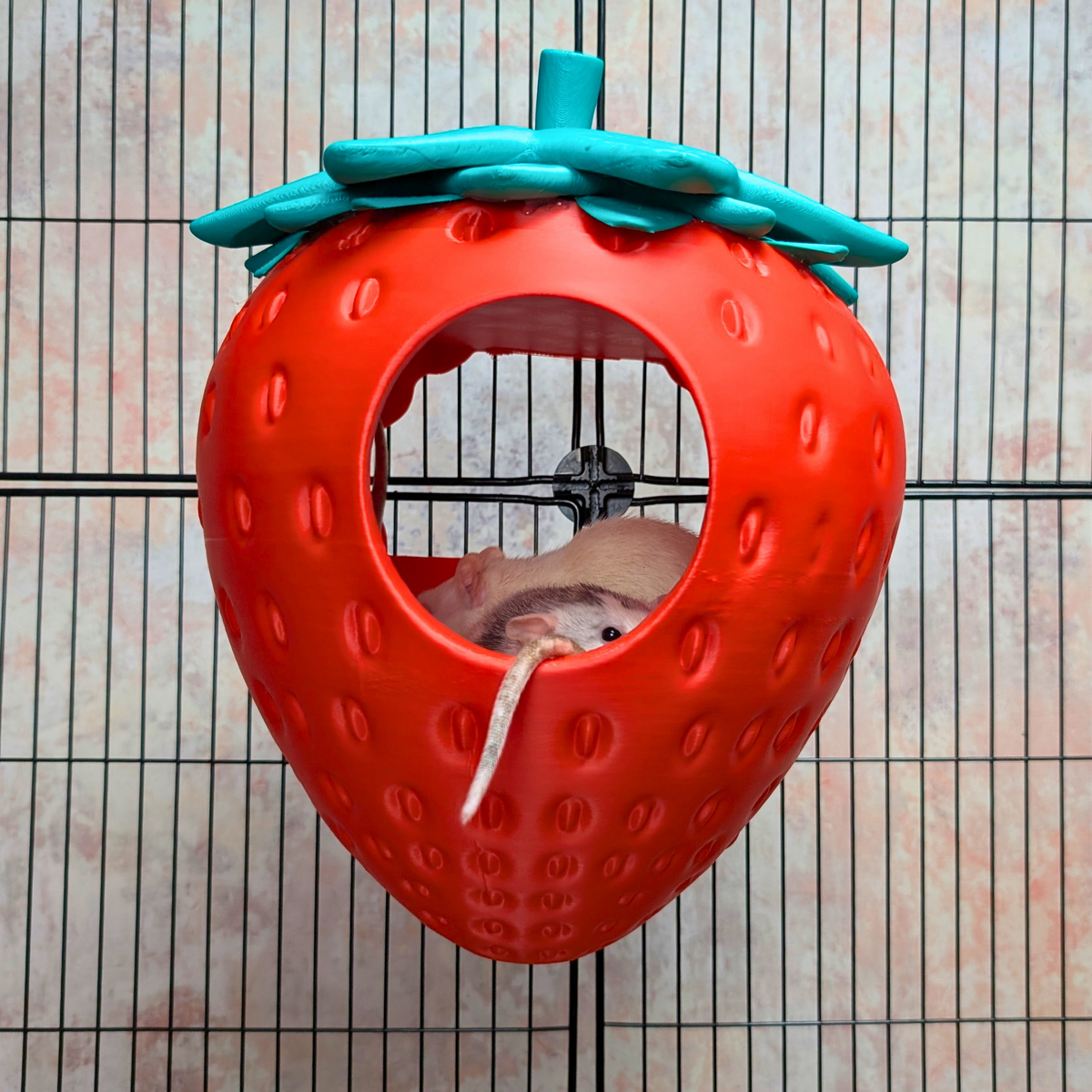 Strawberry Rat Hide top-down view showing interior