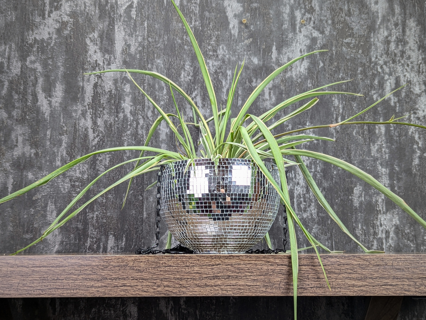 Hanging Disco Ball Planter