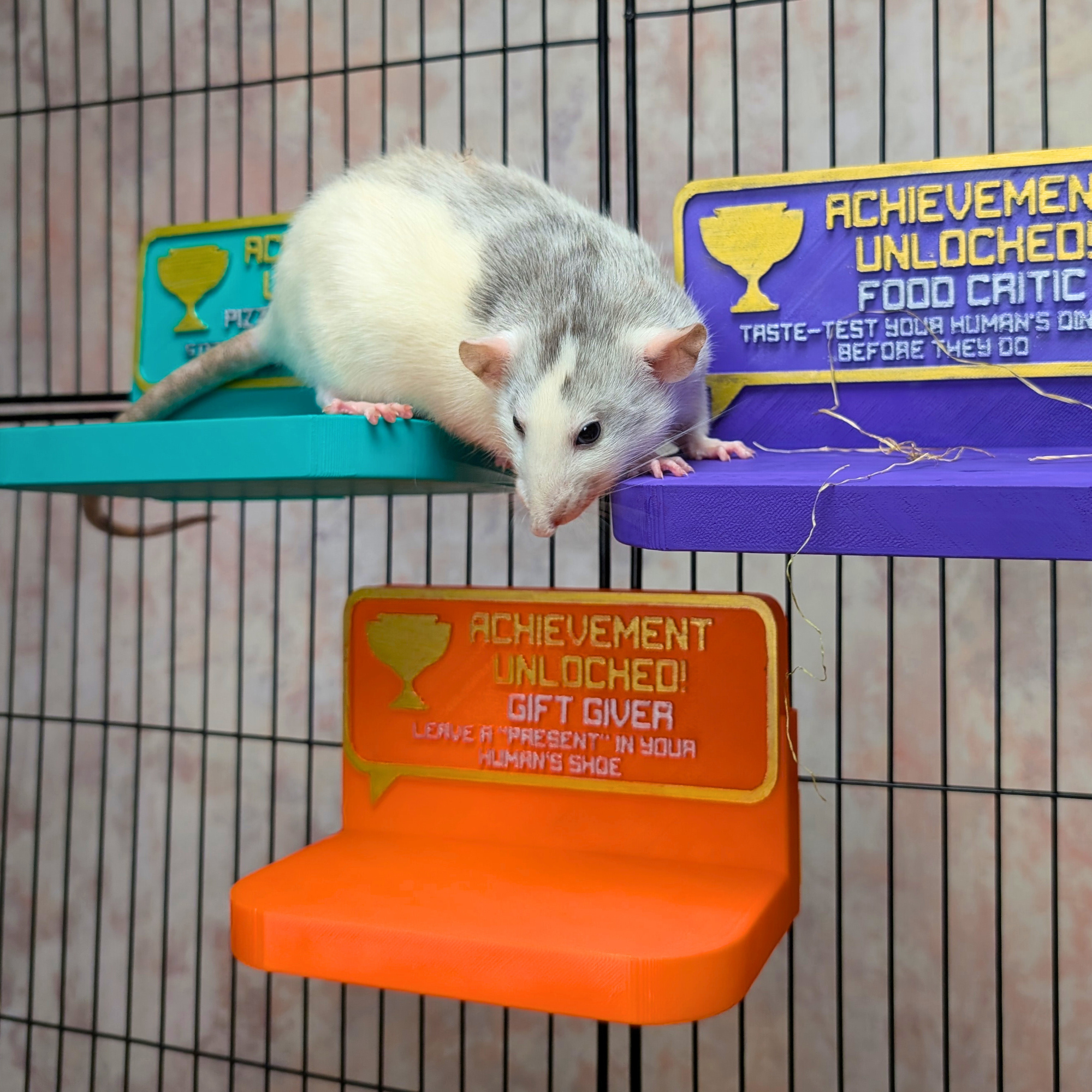 Cute Rat Toy & Custom Shelf