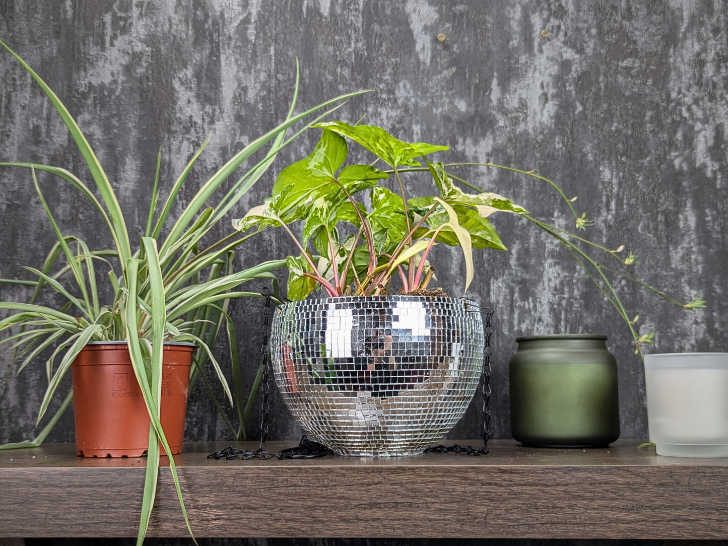 Hanging Disco Ball Planter