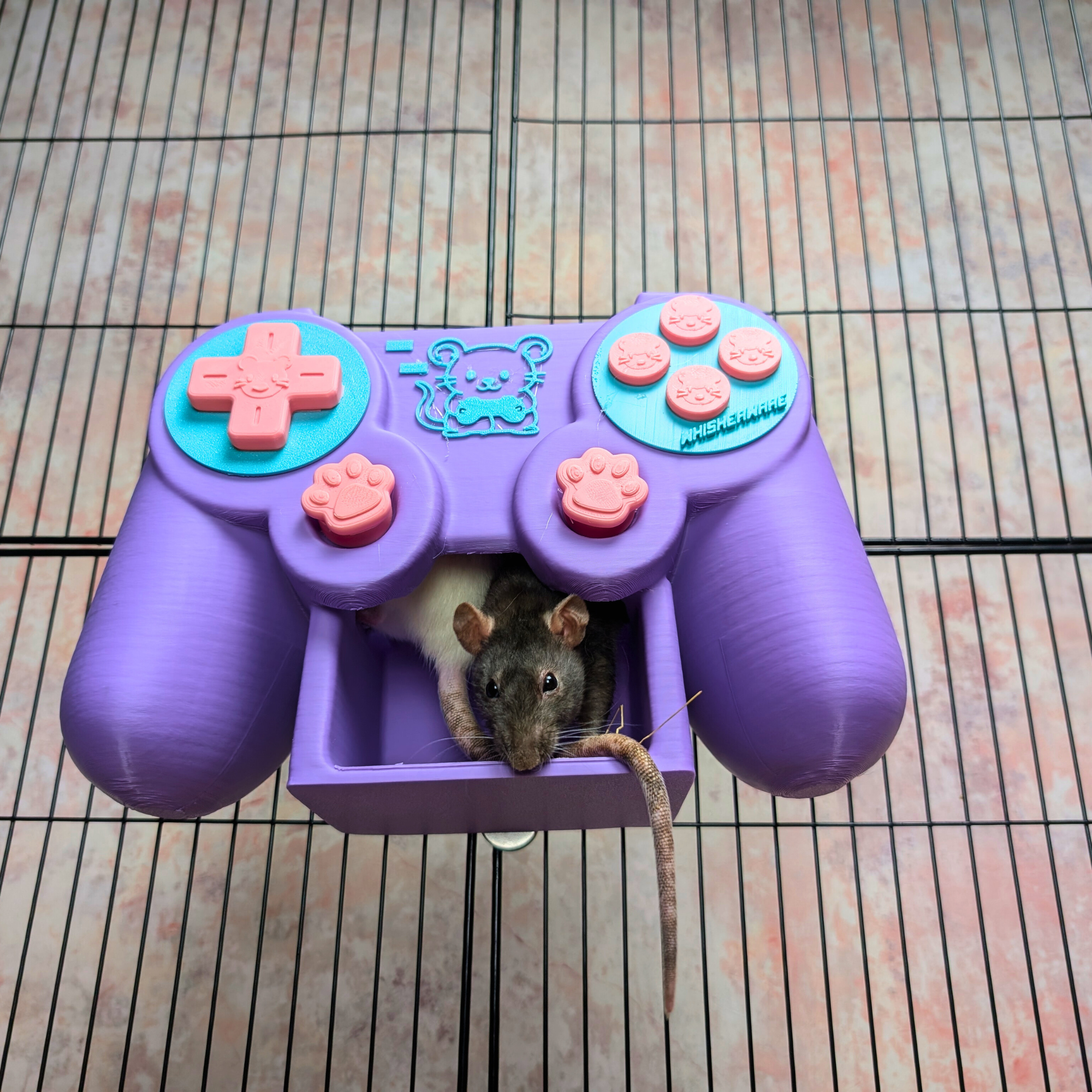 Rat Hide Controller for Cage