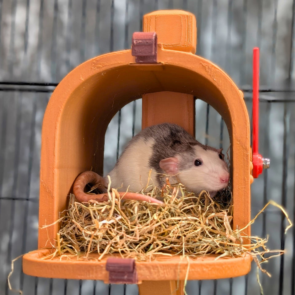 Custom Rat Mailbox Nest & Bed size reference with hand for scale