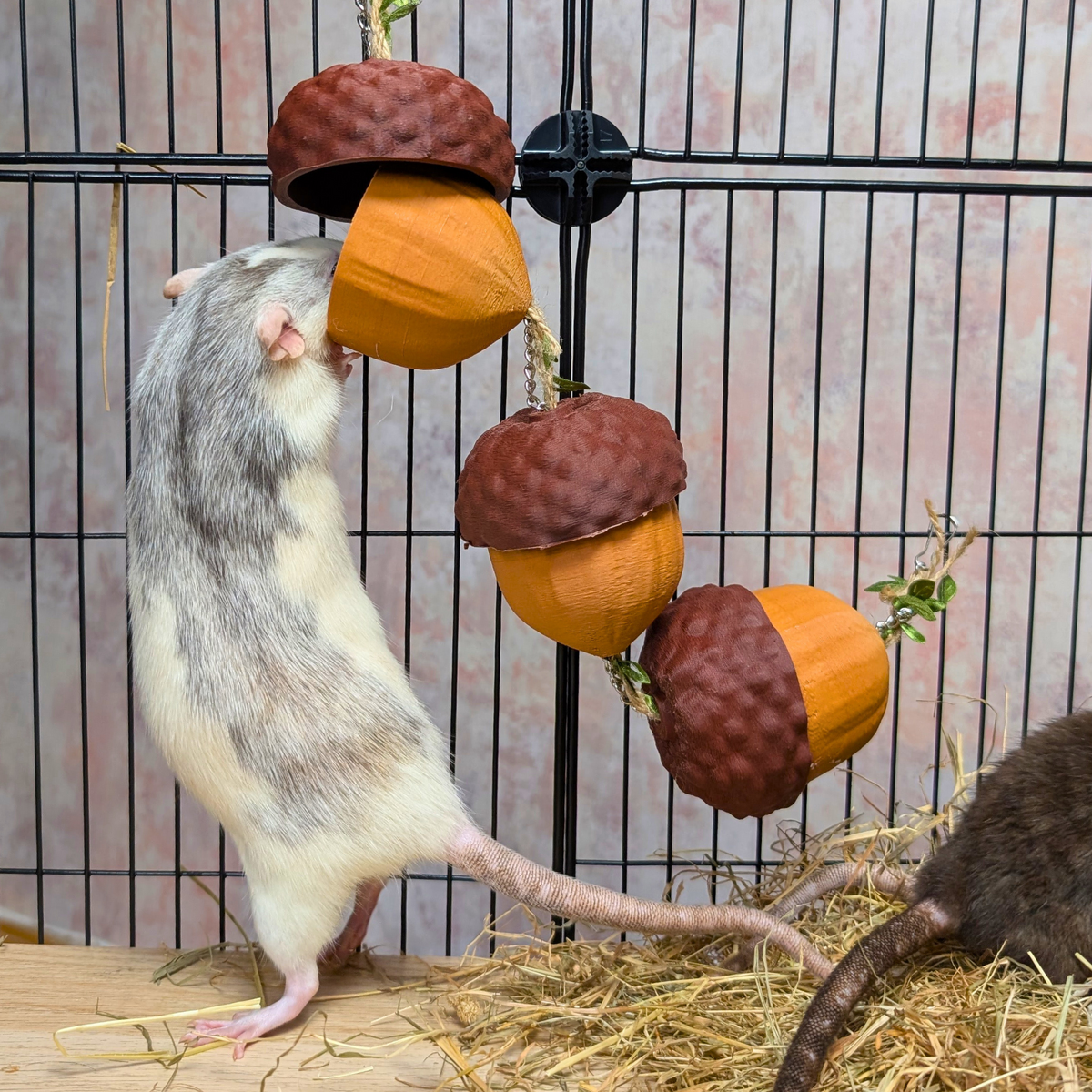 Cute Rat Toy Foraging Garland styled in home setting
