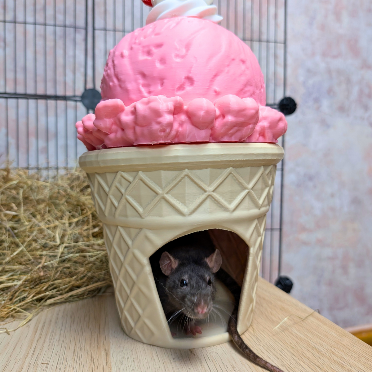 Ice Cream Cone Rat Hide product packaging and presentation