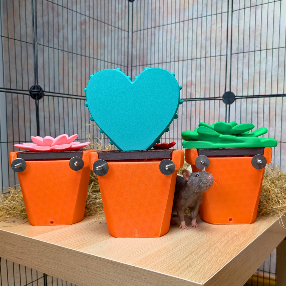 Cactus Rat Hide styled in home setting