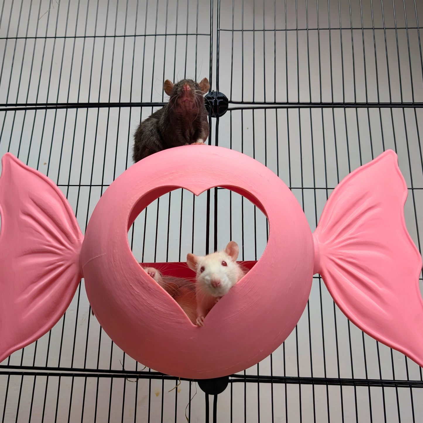 Sweetheart Hideaway | Pink Rat Bed & Heart Rat Hide
