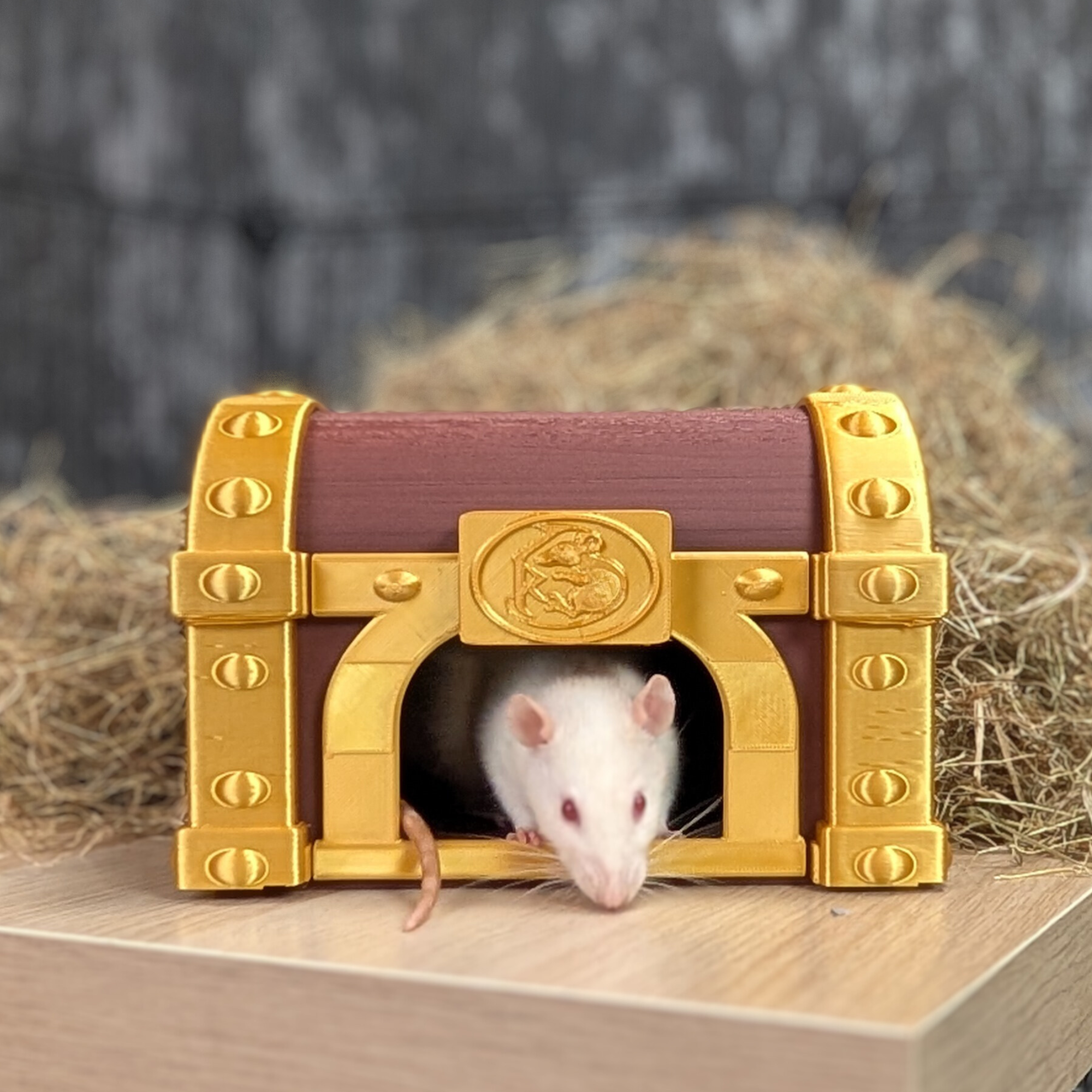 Treasure Chest Rat Hide