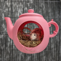 Teapot Rat Hide & Shelf Set mounted on cage bars