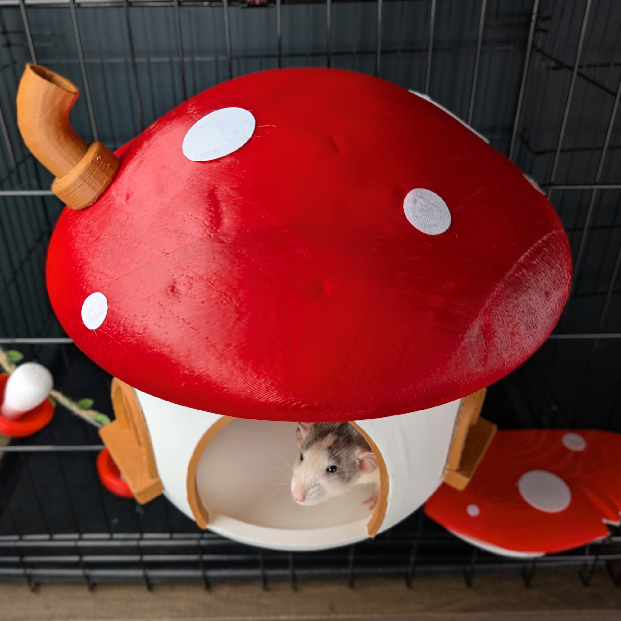 Fairy Mushroom Rat Hide, Shelves & Toy