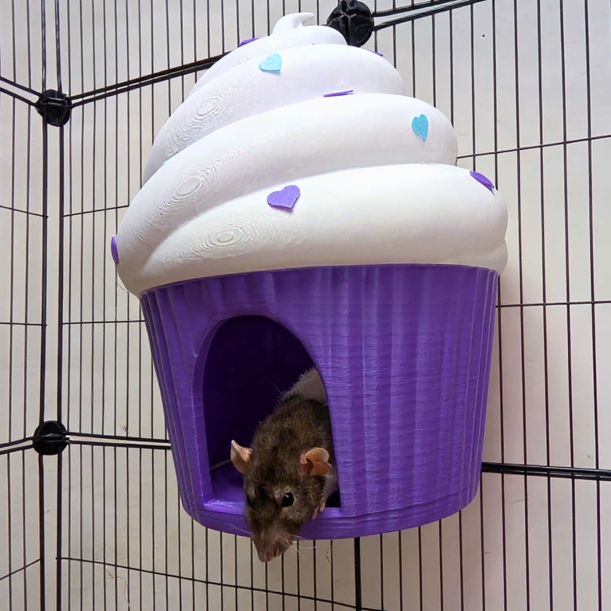 Cupcake Rat Hide & Bed styled in home setting