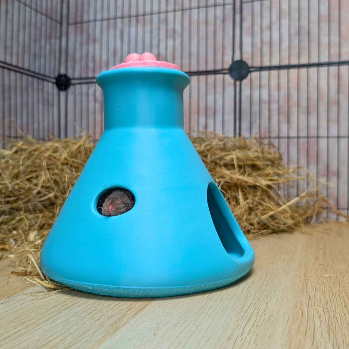 Rat House size reference with hand for scale