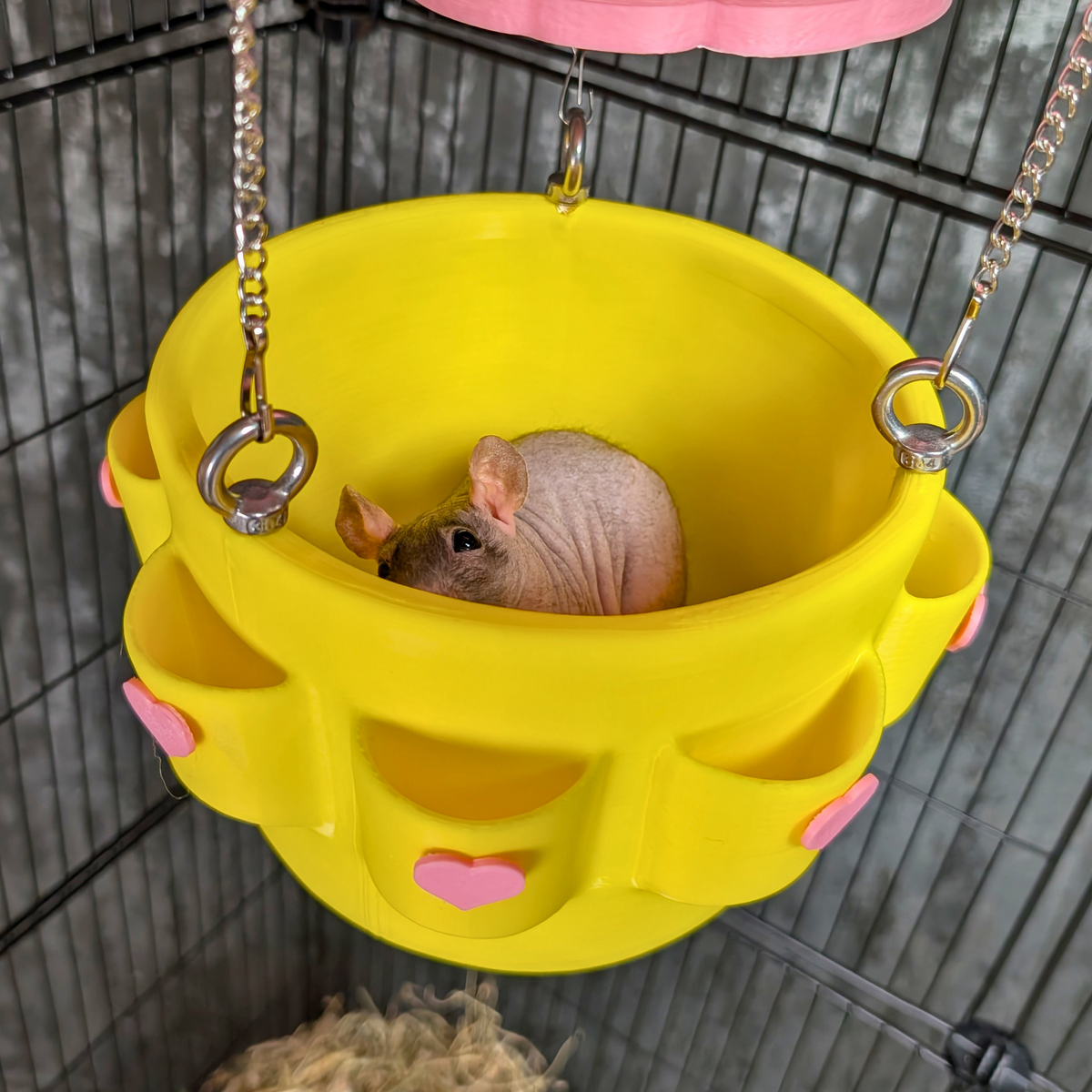 Hot Air Balloon Rat Basket size reference with hand for scale